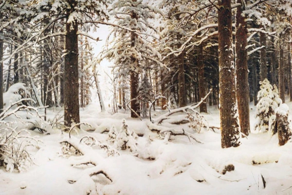 An oil painting of a snowy woods, with snow thick on the ground mostly covering falling limbs and leaves. Most of the trees are evergreens, though their green is covered in white.